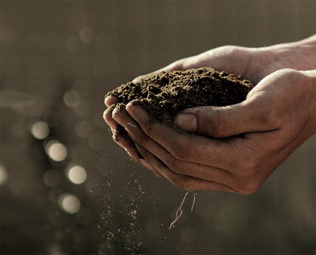 MKP_agricola_tierra_fertil